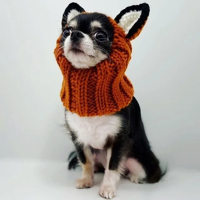 Fox Zoo Snood — BELLY UP